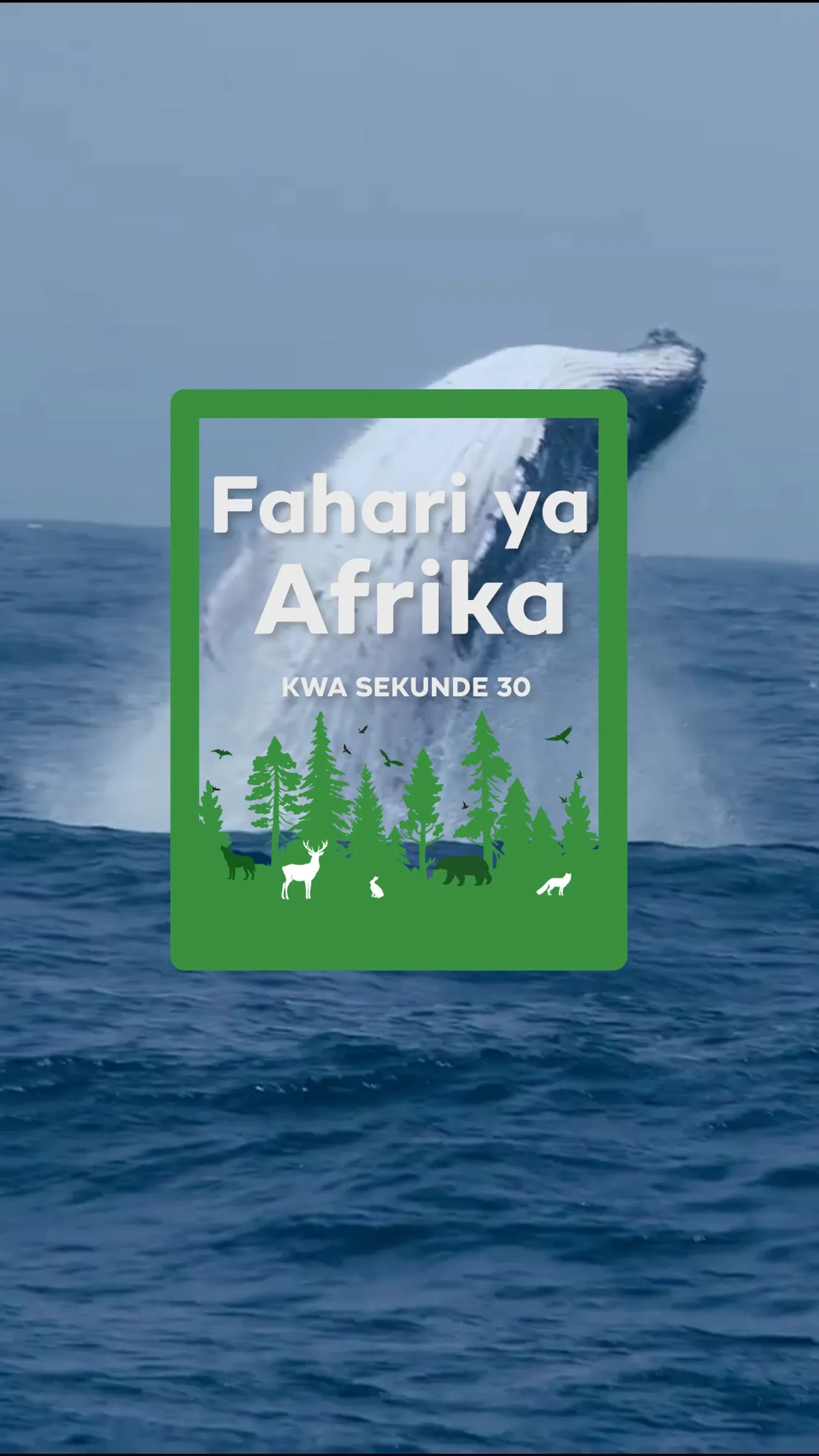 Fahari ya Afrika: Matumbawe ya Watamu nchini Kenya